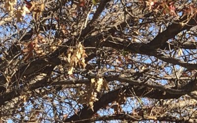 11.27.2020 Workout Of the Day